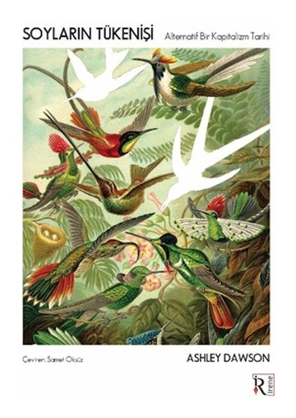 Soyların Tükenişi