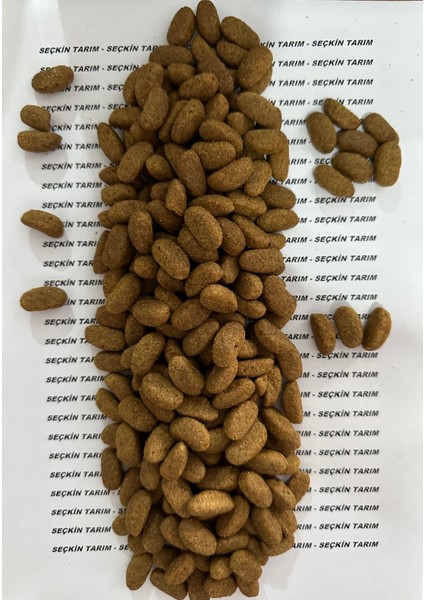 Biftekli Etli Yetişkin Köpek Maması 1 kg fiyatları