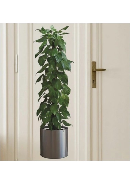 Saksılı Bitki Tasarımlı Yapışkanlı Sticker Resim 90*30 cm (4887) fiyatları