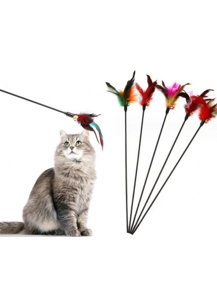 Çıngıraklı Tüylü Kedi Oyun Çubuğu (4887)