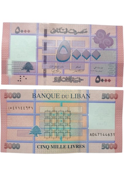 Lübnan 5000 Livre Yabancı Kağıt Para . Koleksiyon Kağıt Para.