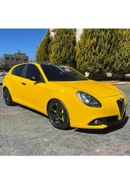 Alfa Romeo Giulietta 1.4t/1.6 Jtdm/2.0 Jtdm H&r Spor Yay -30MM fiyatları