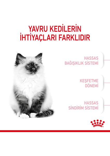 10 Kg. Royal Canin Kitten 36 Yavru Kedi Kuru Maması modelleri