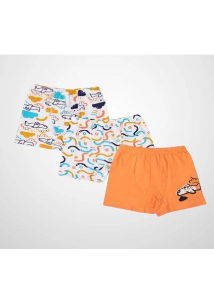Erkek Çocuk Boxer Iç Çamaşır 3'lü Set fiyatları