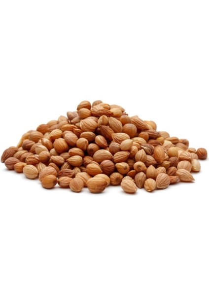 Gaziantep Mahlep Tane 25 gr modelleri
