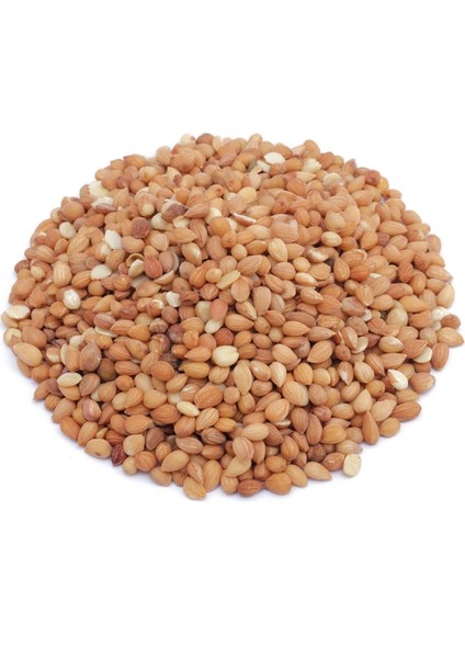 Gaziantep Mahlep Tane 25 gr