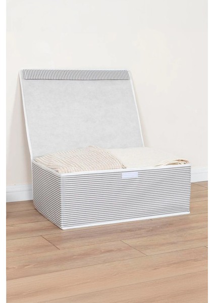 Alas Çok Amaçlı Kapaklı Düzenleyici Kutu Baza Hurç 50X40X19 cm fiyatları