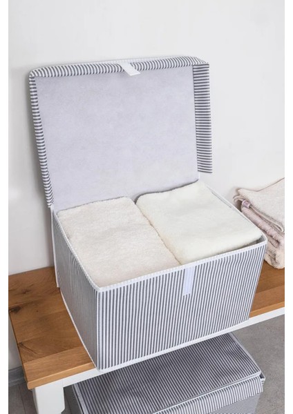 (2 Adet) Alas Çok Amaçlı Kapaklı Kutu Saklama Kutusu Mini Boy Tela 40*30*26 cm modelleri