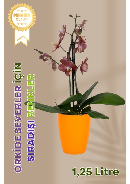 Dekoratif Orkide Dış Saksısı Turuncu – Hava Alan ve Zarif Tasarımlı Saksı Iç Mekan Kullanımına Uygun fiyatları