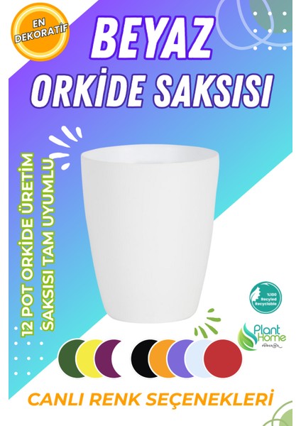 Dekoratif Orkide Dış Saksısı Beyaz – Hava Alan ve Zarif Tasarımlı Saksı Iç Mekan Kullanımına Uygun