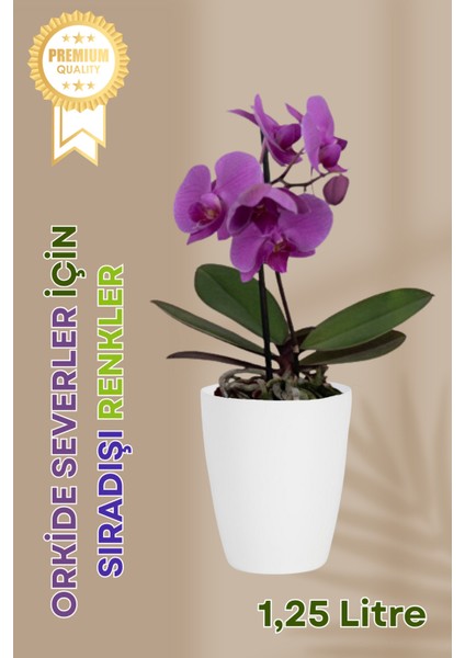 Dekoratif Orkide Dış Saksısı Beyaz – Hava Alan ve Zarif Tasarımlı Saksı Iç Mekan Kullanımına Uygun fiyatları