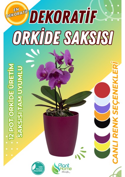 Dekoratif Orkide Dış Saksısı Vişne – Hava Alan ve Zarif Tasarımlı Saksı Iç Mekan Kullanımına Uygun