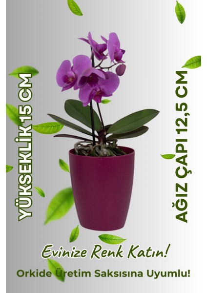 Dekoratif Orkide Dış Saksısı Vişne – Hava Alan ve Zarif Tasarımlı Saksı Iç Mekan Kullanımına Uygun modelleri