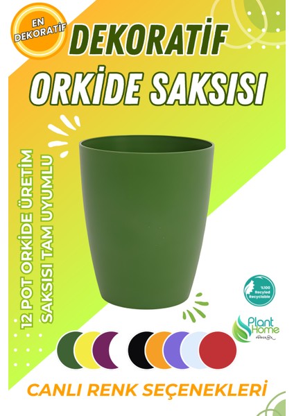 Dekoratif Orkide Dış Saksısı Yeşil – Hava Alan ve Zarif Tasarımlı Saksı Iç Mekan Kullanımına Uygun