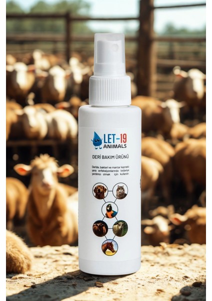 Let 19 100 ml Hayvan Sağlığı Kedi, Köpek ve Kuş; Göz, Ağız ve Burun Deri ve Yara Bakımı fırsatları