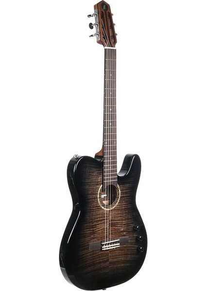 PSC200 Qs Thinline Klasik Elektro Gitar modelleri