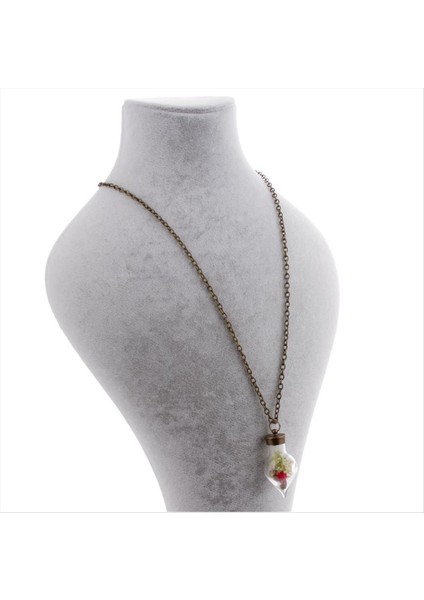 shop Fanus Canlı Kolye-K