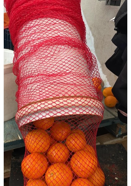 Dokuma File, Kavun Asma Filesi, Narenciye Filesi, 1000 m