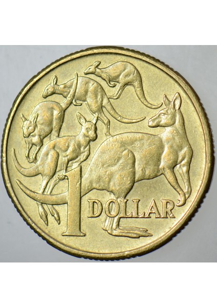 Avustralya 1 Dolar 1995 Kraliçe Iı. Elizabeth. Kanguru Temalı 25 Mm. fiyatları