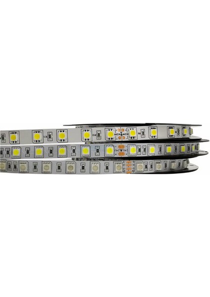 24 Volt 5050 Şerit LED Sarı (Amber) IP65 (5 Metre) modelleri