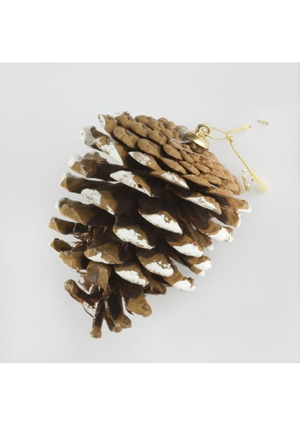 shop 6lı Kozalak Yılbaşı Ağaç Süsü-Kahverengi fiyatları