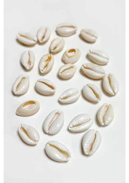 shop 10 Adet Istiridye Aparatı Küçük-Beyaz