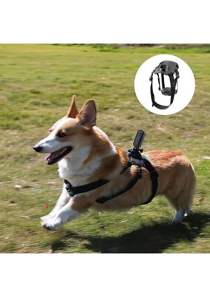 Köpek Montaj Kemeri Aksiyon Kamerası Sabitleyici modelleri