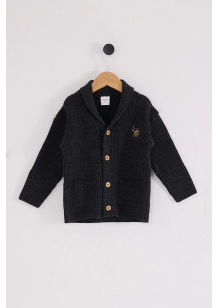 U.s. Polo Assn Bebek Hırka USB2608 Antrasit Melanj