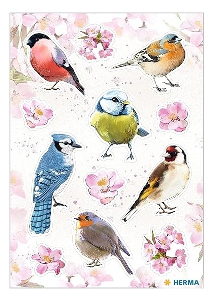 15693 Hayvan Çıkartması, Çocuklar Için, Renkli Memleket Kuşlar (36 Çıkartma, Mat Kağıt) Kendinden Yapışkanlı, Kalıcı Yapışan Motif Etiketleri, Kız ve Erkek Çocukları Için, Renkli fiyatları