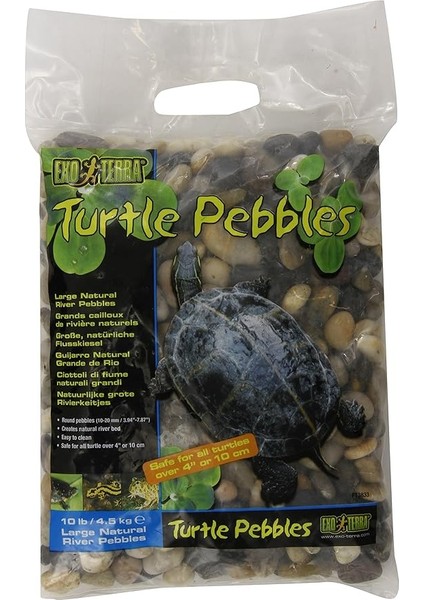 Terra Kaplumbağa Çakıl Taşları, Büyük