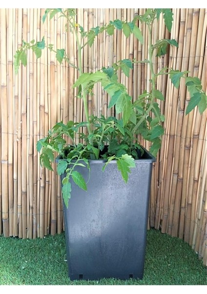 Kare Saksı 15 Adet 15 Lt 23,5X33 cm Üretim Saksısı Siyah Saksı Kare Üretim Saksı Plastik Saksı