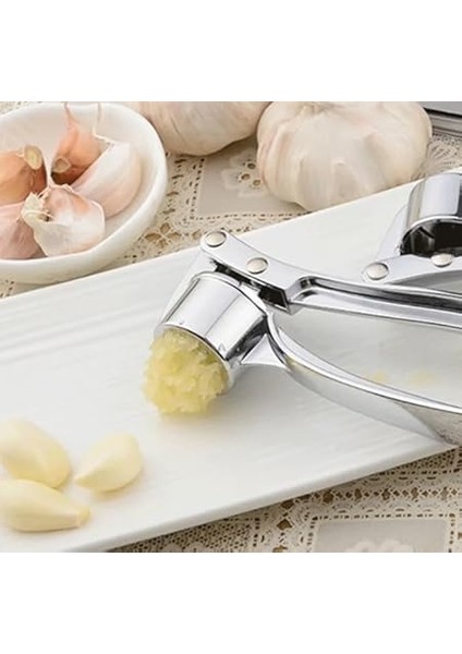 Paslanmaz Çelik Sarımsak Ezici modelleri