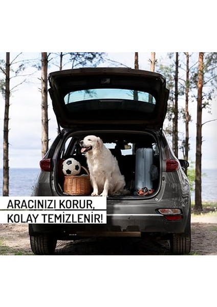 Tpe Bagaj Havuzu Byd Seal Sedan (2024 ve Sonrası) ile Uyumlu fiyatları
