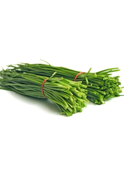 Dünyam Frenk Soğanı Tohumu 50 Adet fırsatları