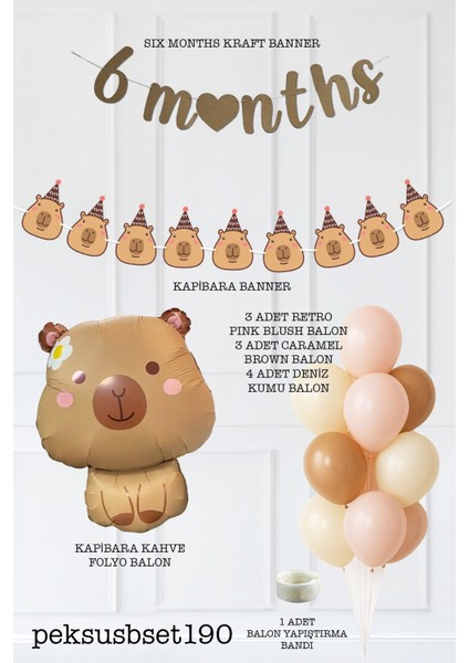 Kapibara Tema 6 Aylık Süsleri Seti 6 Months Banner ve Balon Seti fiyatları