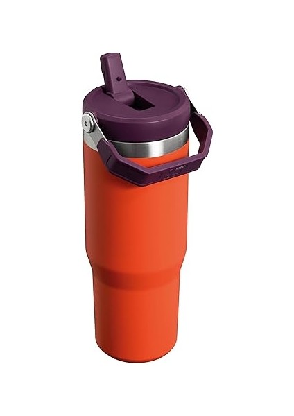 The Ice Flow Flip Pipetli 0.89 Litre Termos indirimleri