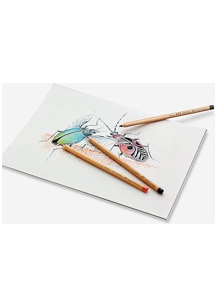 Pitt Monochrome Boya Kalem Fildişi modelleri