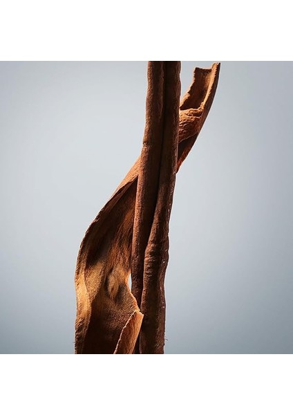 Boss Bottled Erkek Deo Stick 75 ml fırsatları