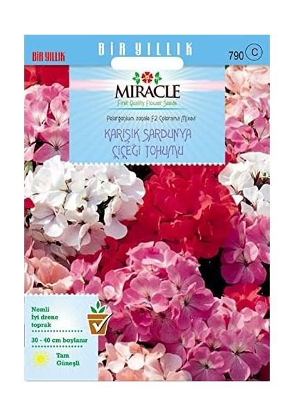 Tohum Colorama Karışık Renkli Hibrit Sardunya Çiçeği (24 Tohum)