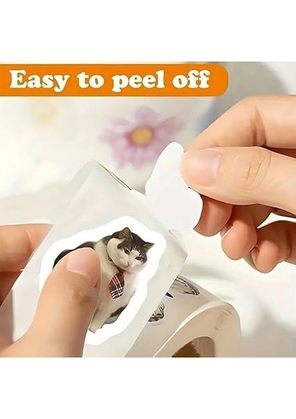 Adet Rulo Vinil Sticker Etiket (Komik Kedi) fiyatları
