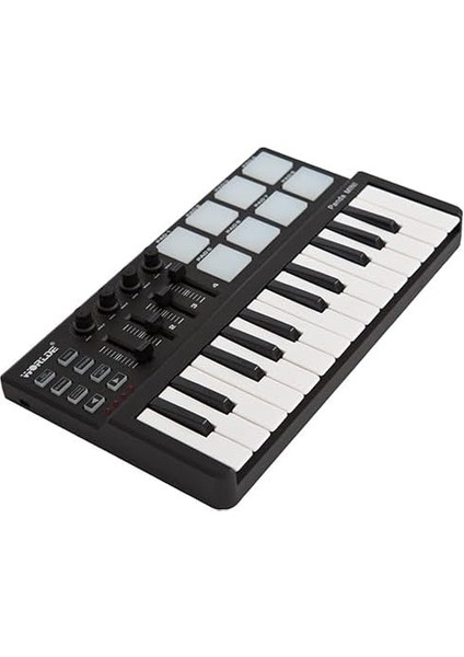Panda Mini 25 Tuş Midi Klavye