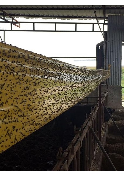 Trap Sarı Sinek Yakalama Bandı, Sinek Tuzağı, 15CMX100M fırsatları