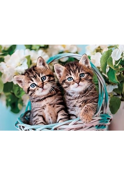 60 El. Super Kolor Lovely Kitty Twins [puzzle] fiyatları