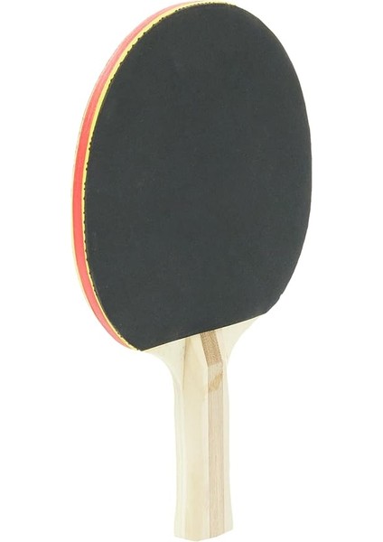 Masa Tenisi Raketi fiyatları