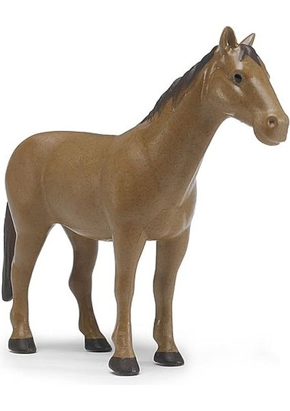 BR02352 Kahverengi At