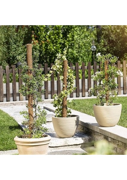 05660 Hindistan Cevizi Bitki Çubuğu, Tırmanma Çubuğu, Çiçek Çubuğu, Hindistan Cevizi Çubuğu, Dekorasyon Için, Doğal Hindistan Cevizi Lifinden, Uzatılabilir, 60 cm modelleri