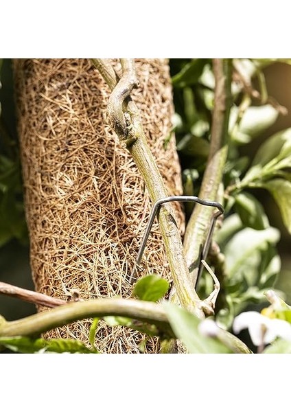 05660 Hindistan Cevizi Bitki Çubuğu, Tırmanma Çubuğu, Çiçek Çubuğu, Hindistan Cevizi Çubuğu, Dekorasyon Için, Doğal Hindistan Cevizi Lifinden, Uzatılabilir, 60 cm indirimleri