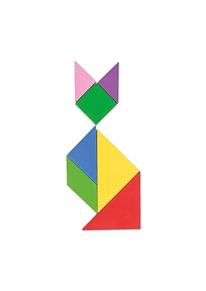 Manyetik Tangram, Çok Renkli modelleri
