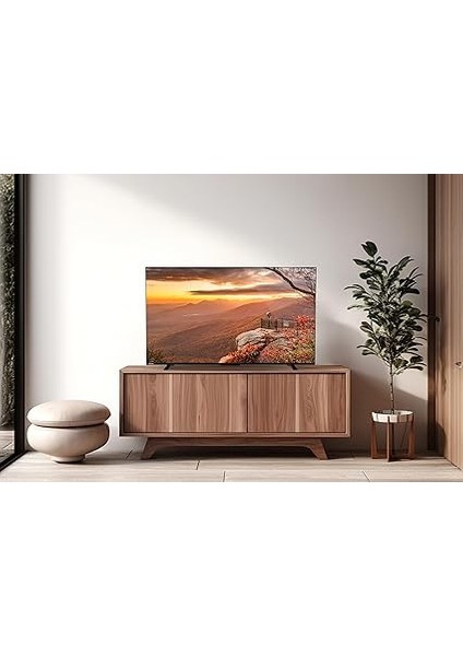 Vıdaa 65QV2363DT 65" 164 Ekran 4K Ultra Hd QLED Smart Tv fiyatları