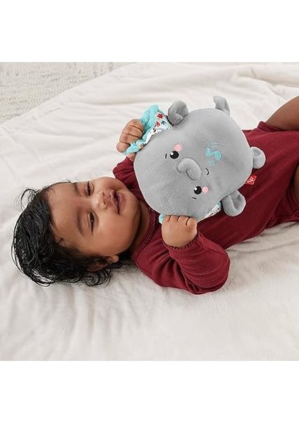 Sevimli Fil Uyku Arkadaşı Fisher-Price Sevimli Fil Uyku Arkadaşıoyuncağı ve Titreşimli Uyku Arkadaşı HML65 indirimleri